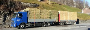 Transporte von Landesprodukten mit LKW